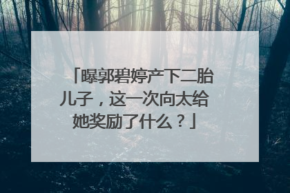 曝郭碧婷产下二胎儿子,这一次向太给她奖励了什么?