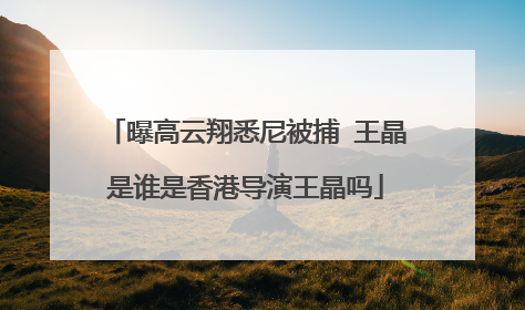 曝高云翔悉尼被捕 王晶是谁是香港导演王晶吗
