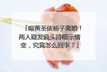 曝黄圣依杨子离婚！两人疑发藏头诗暗示情变，究竟怎么回事？