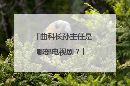 曲科长孙主任是哪部电视剧？