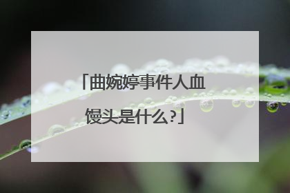 曲婉婷事件人血馒头是什么?