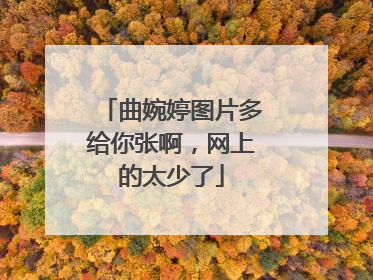 曲婉婷图片多给你张啊,网上的太少了