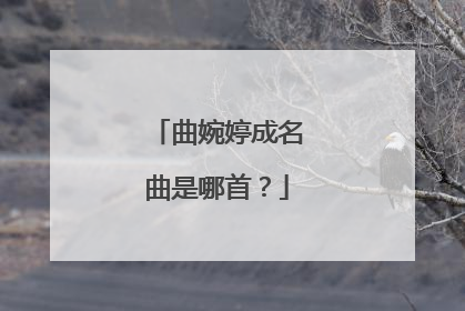 曲婉婷成名曲是哪首？