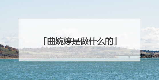 曲婉婷是做什么的