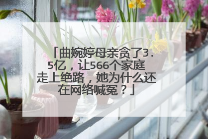 曲婉婷母亲贪了3.5亿,让566个家庭走上绝路,她为什么还在网络喊冤?