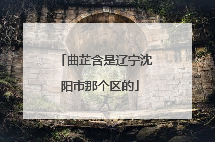 曲芷含是辽宁沈阳市那个区的