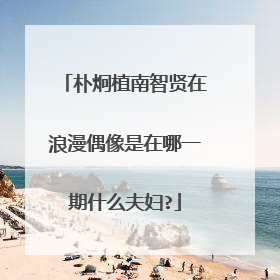 朴炯植南智贤在浪漫偶像是在哪一期什么夫妇?