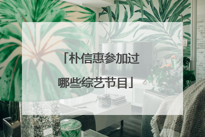 朴信惠参加过哪些综艺节目