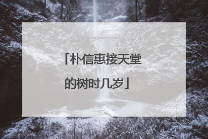 朴信惠接天堂的树时几岁