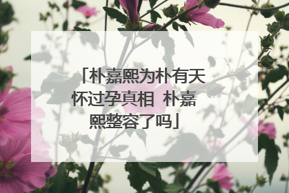 朴嘉熙为朴有天怀过孕真相 朴嘉熙整容了吗