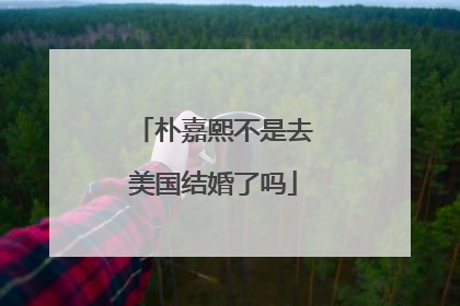 朴嘉熙不是去美国结婚了吗