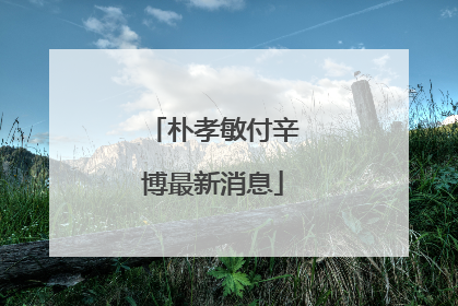 朴孝敏付辛博最新消息