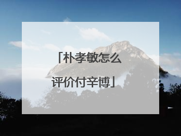 朴孝敏怎么评价付辛博