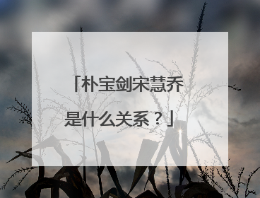 朴宝剑宋慧乔是什么关系?