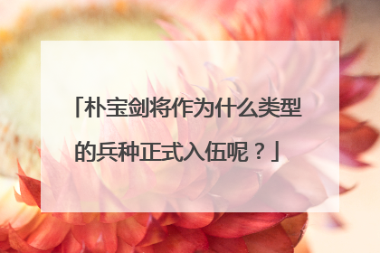 朴宝剑将作为什么类型的兵种正式入伍呢?