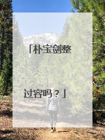 朴宝剑整过容吗？