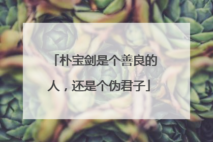 朴宝剑是个善良的人,还是个伪君子