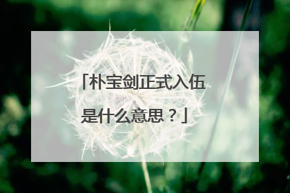 朴宝剑正式入伍是什么意思?