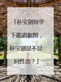 朴宝剑辱华下跪道歉图,朴宝剑是不是同性恋?
