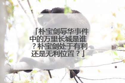 朴宝剑辱华事件中的万里长城是谁?朴宝剑处于有利还是无利位置?