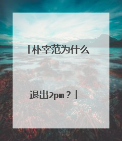 朴宰范为什么退出2pm？