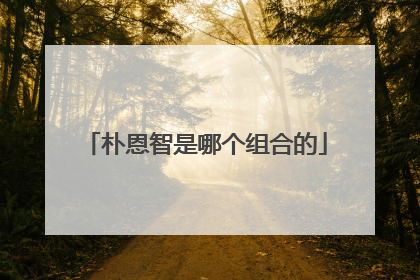 朴恩智是哪个组合的