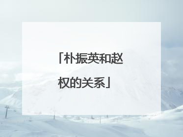 朴振英和赵权的关系