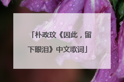 朴政玟《因此，留下眼泪》中文歌词