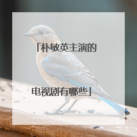 朴敏英主演的电视剧有哪些