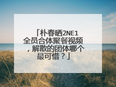朴春晒2NE1全员合体聚餐视频，解散的团体哪个最可惜？