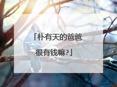 朴有天的爸爸很有钱嘛?