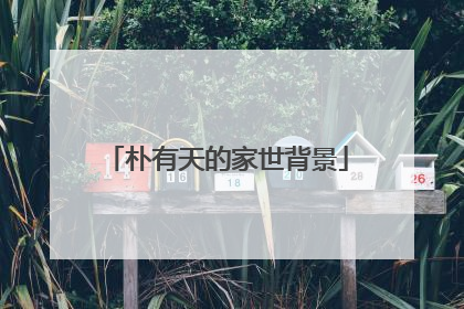 朴有天的家世背景