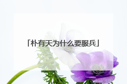 朴有天为什么要服兵