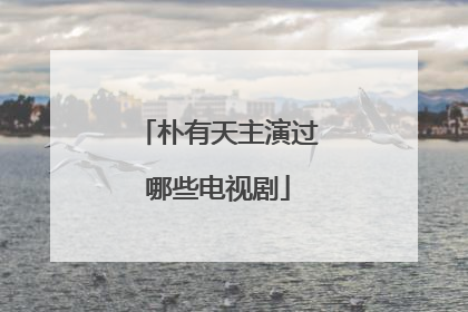 朴有天主演过哪些电视剧