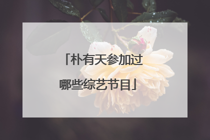 朴有天参加过哪些综艺节目