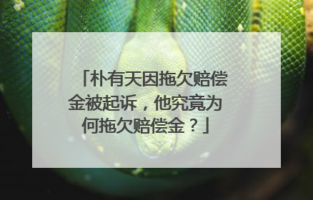 朴有天因拖欠赔偿金被起诉,他究竟为何拖欠赔偿金?