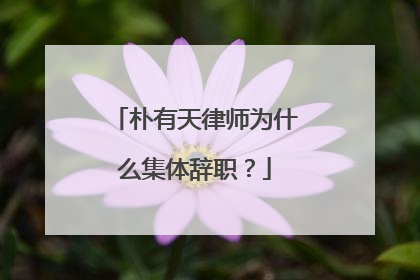 朴有天律师为什么集体辞职?