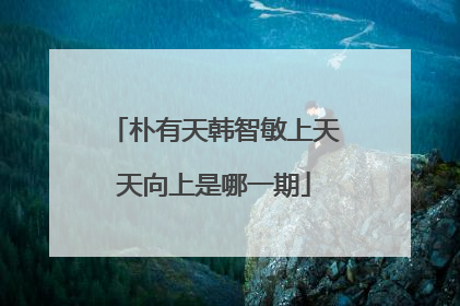 朴有天韩智敏上天天向上是哪一期
