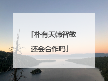 朴有天韩智敏还会合作吗