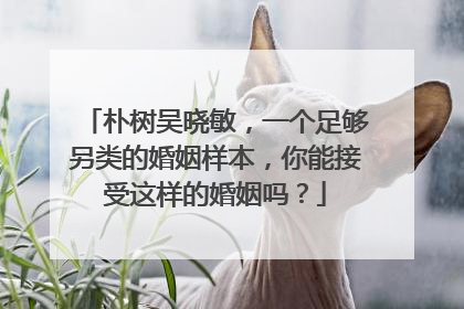 朴树吴晓敏，一个足够另类的婚姻样本，你能接受这样的婚姻吗？