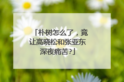 朴树怎么了,竟让高晓松和张亚东深夜痛苦?