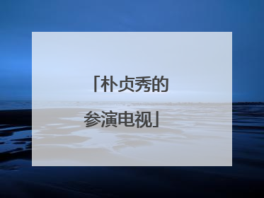 朴贞秀的参演电视