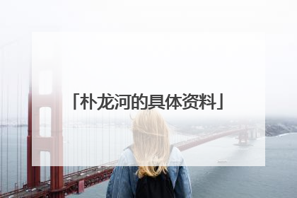 朴龙河的具体资料