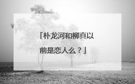 朴龙河和柳真以前是恋人么？