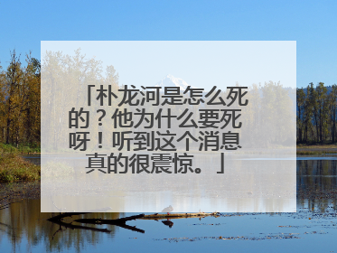 朴龙河是怎么死的？他为什么要死呀！听到这个消息真的很震惊。