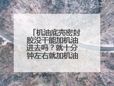 机油底壳密封胶没干能加机油进去吗？就十分钟左右就加机油进去了， 会有什么问题吗？