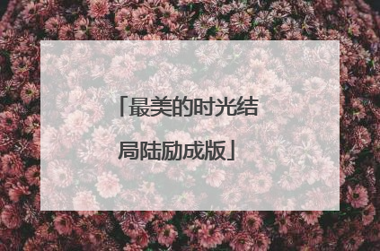 最美的时光结局陆励成版