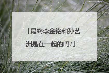 最终李金铭和孙艺洲是在一起的吗?