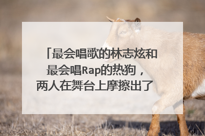 最会唱歌的林志炫和最会唱Rap的热狗,两人在舞台上摩擦出了怎样的火花?