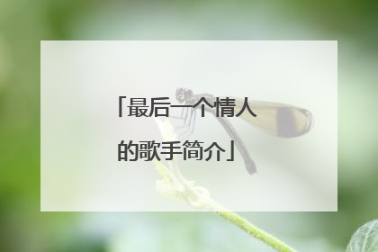 最后一个情人的歌手简介